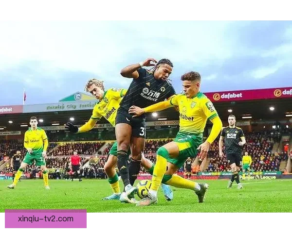 查尔顿主场惜败诺维奇关键一球定胜负全场攻防表现深度解析与赛后点评